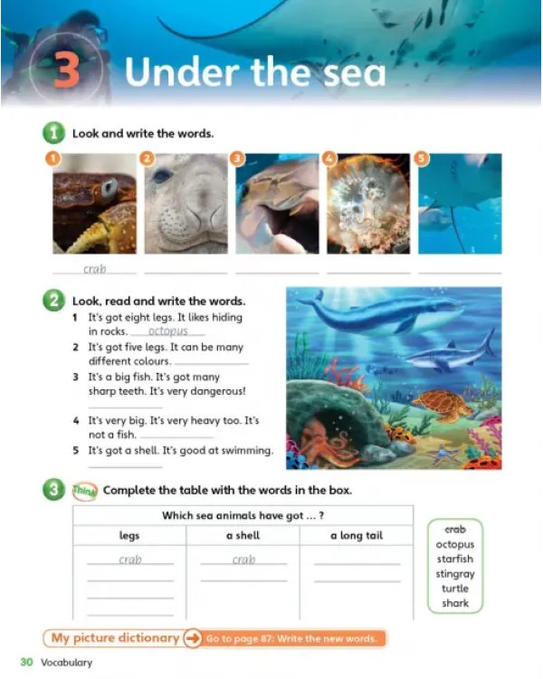 Guess What! Level 5. Activity Book with Online Resources