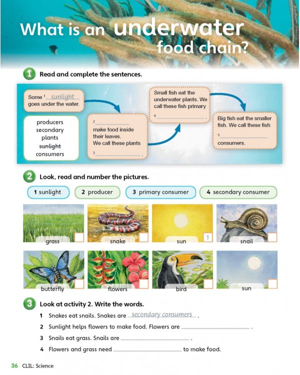 Guess What! Level 5. Activity Book with Online Resources