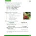 Cambridge Primary Path. Level 2. Activity Book with Practice Extra
