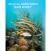 Guess What! Level 5. Pupil's Book