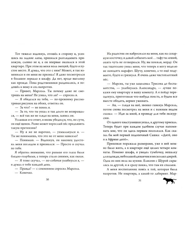 Осенний марафон лабрадора Трисона