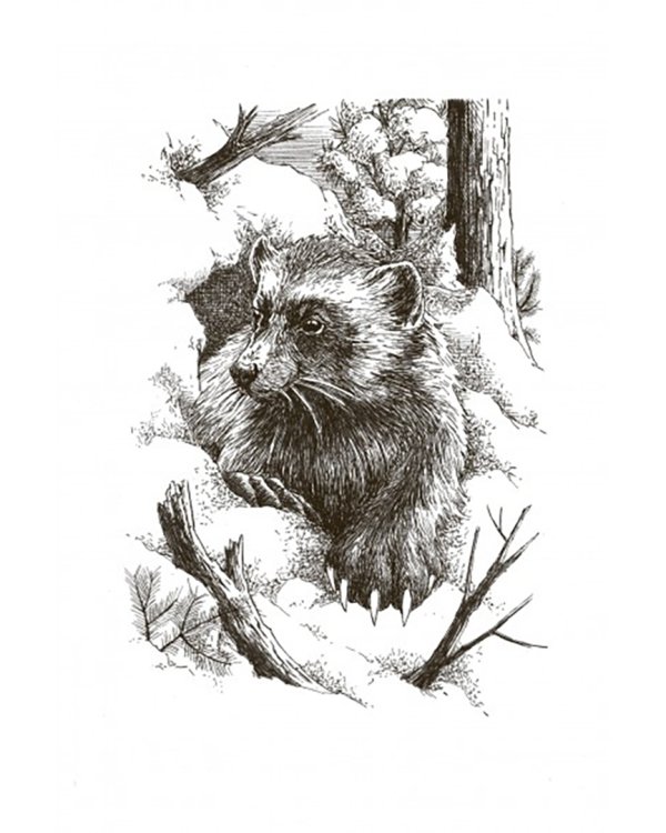 Возвращение росомахи. Повесть и рассказы