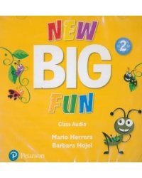 CD-ROM. New Big Fun. Level 2. Class Audio