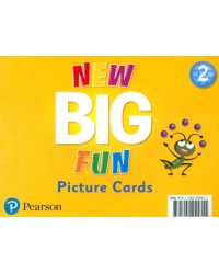 New Big Fun 2. Picture Cards