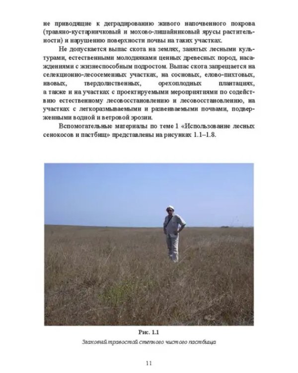Комплексное использование ресурсов леса. Экономическая эффективность. Учебное пособие
