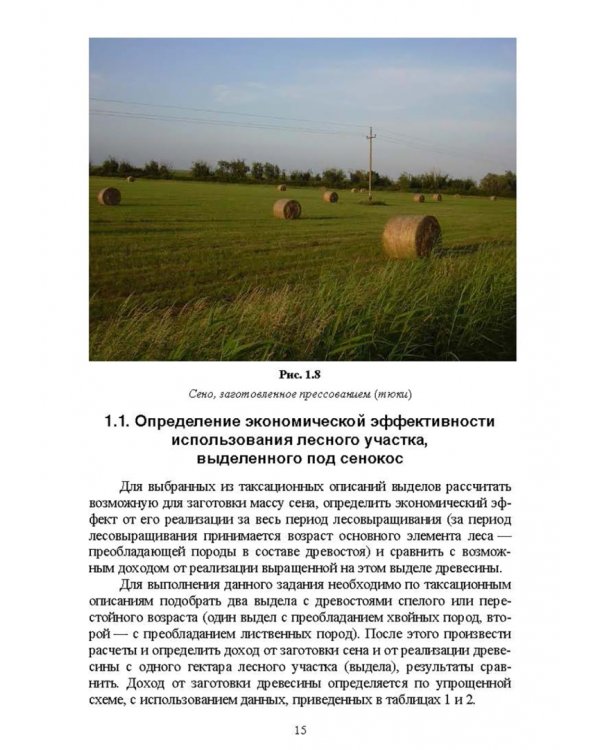 Комплексное использование ресурсов леса. Экономическая эффективность. Учебное пособие