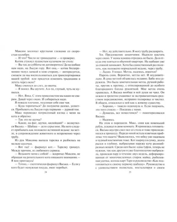 Дополнительное изображение книги «Эльф ведьме не товарищ»