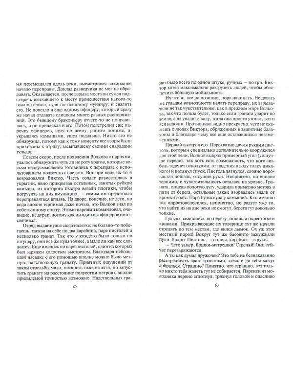 Вепрь. Феникс