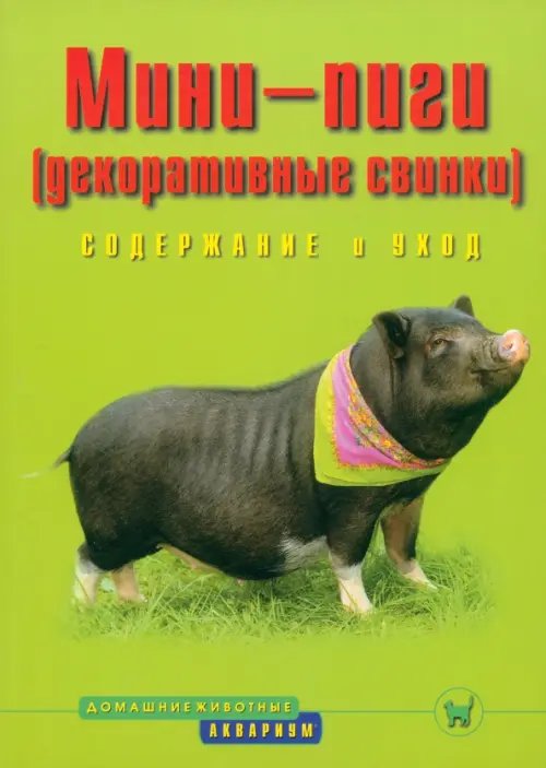 Домашние животные Мини-пиги (декоративные свинки). Содержание и уход