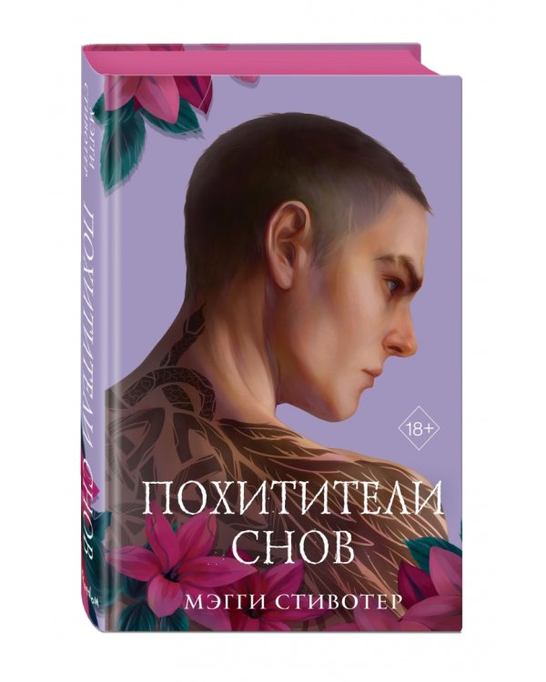 Вороновый круг. Похитители снов