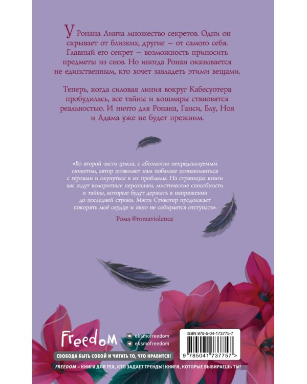 Вороновый круг. Похитители снов