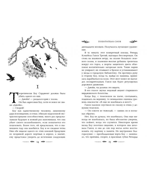 Вороновый круг. Похитители снов