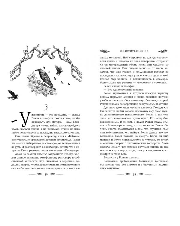 Вороновый круг. Похитители снов