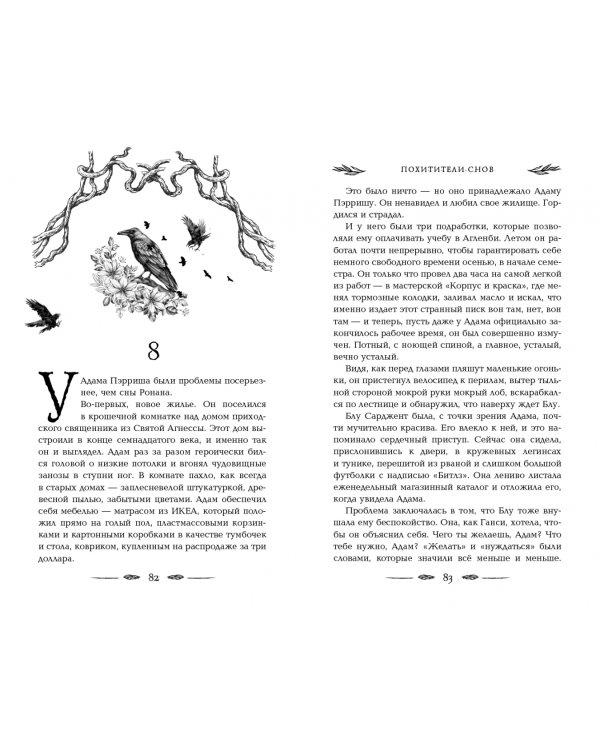 Вороновый круг. Похитители снов