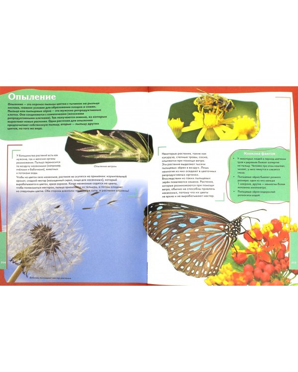 Большая энциклопедия российского школьника