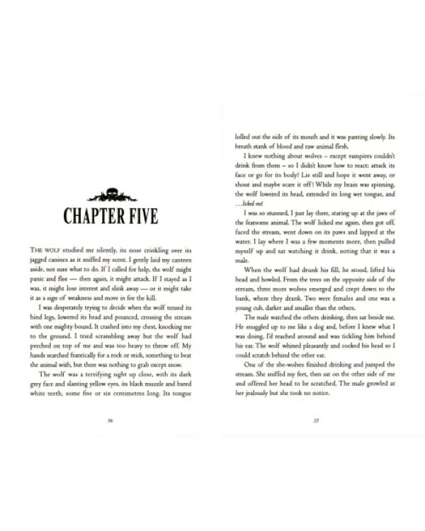 Дополнительное изображение книги «Vampire Mountain»