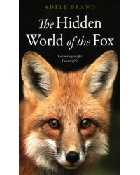 The Hidden World of the Fox
