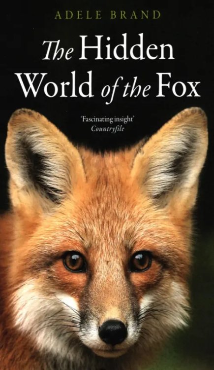 The Hidden World of the Fox The Hidden World of the Fox