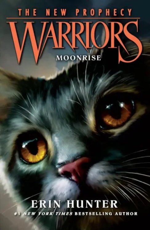 Warriors: The New Prophecy Moonrise