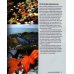 Microadventures. Local Discoveries for Great Escapes