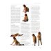 Tai Chi. A practical approach to the ancient Chinese movement for health and well-being