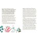 Weird is Beautiful. The Wisdom of Octopuses