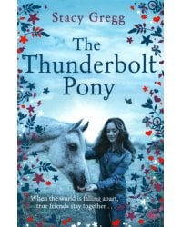 The Thunderbolt Pony