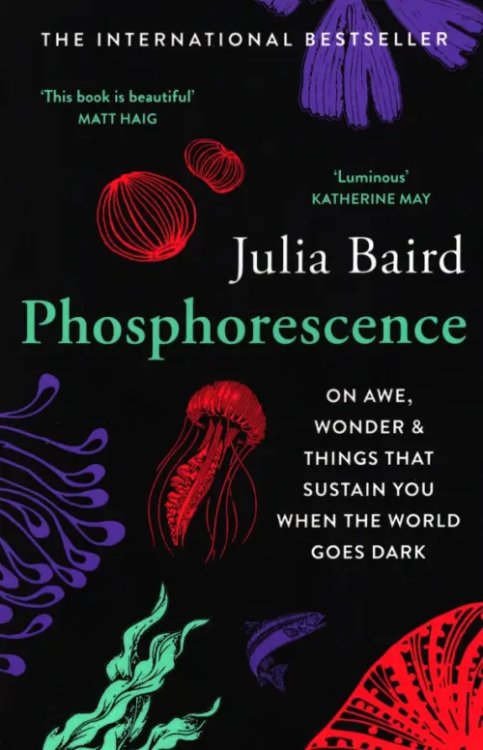 Phosphorescence. On Awe, Wonder &amp; Things That Sustain You When the World Goes Dark