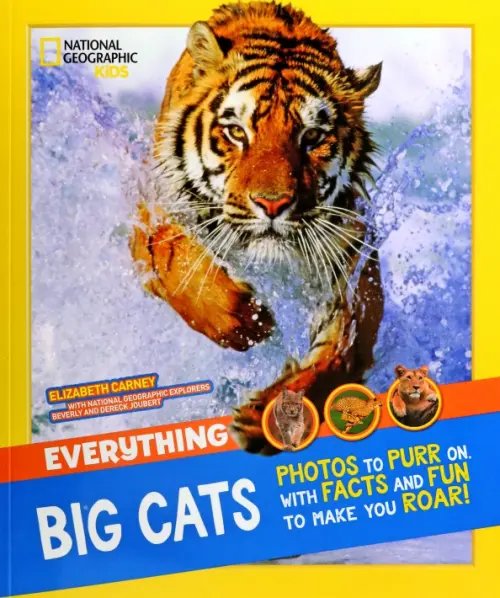 Everything Big Cats