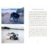 The Dog Listener. Learning the Language of Your Best Friend