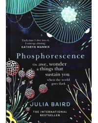 Phosphorescence. On Awe, Wonder &amp; Things That Sustain You When the World Goes Dark