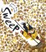 Обложка книги «Sweep» — Greig Louise, ISBN 9781405283779