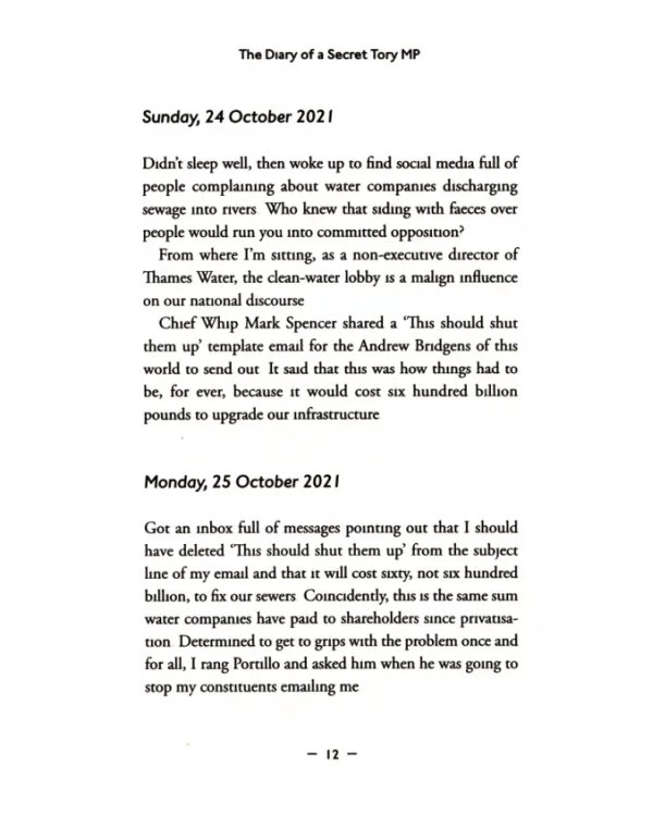 The Diary of a Secret Tory MP