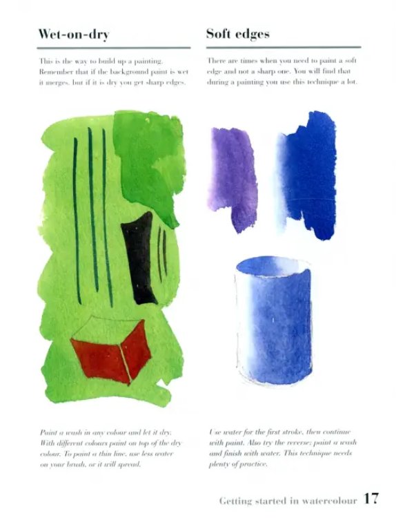Watercolour for the Absolute Beginner