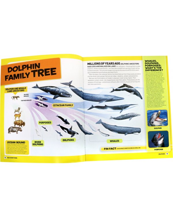 Дополнительное изображение книги «Dolphins. Facts, Photos adn Fun That Will Make You Flip»