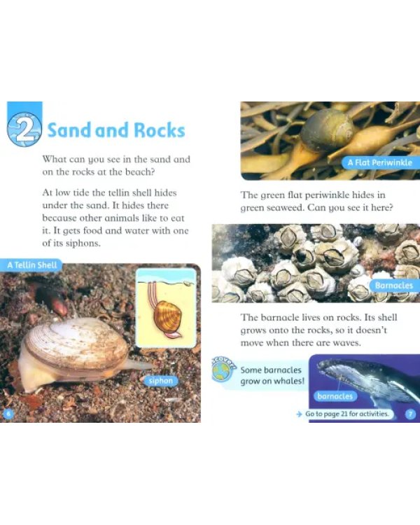 Oxford Read and Discover. Level 1. At the Beach
