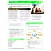 English Plus. Level 4. Student's Book