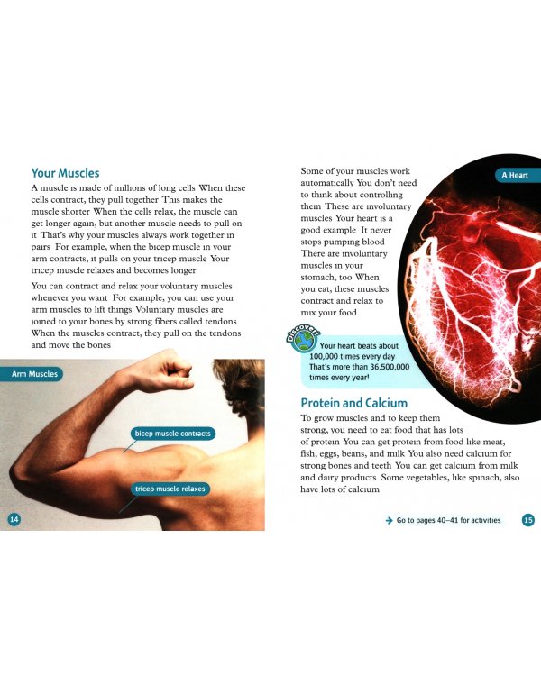 Oxford Read and Discover. Level 6. Your Amazing Body
