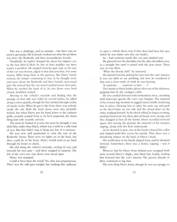 Дополнительное изображение книги «Stolen»