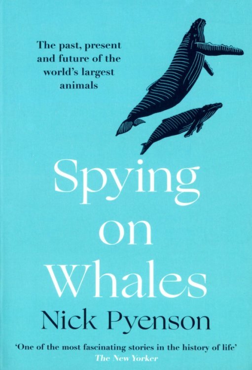 Spying on Whales. The Past, Present and Future of the World's Largest Animals
