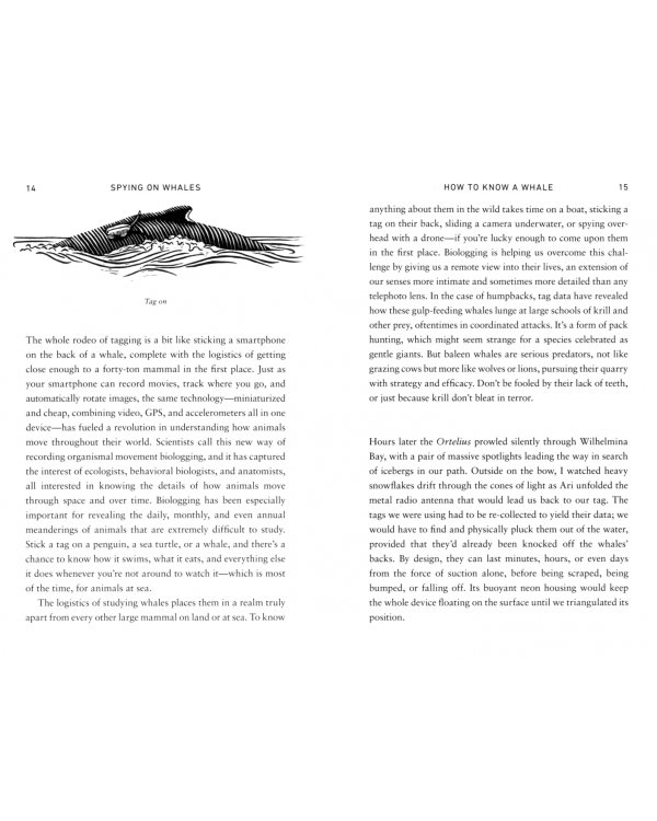 Spying on Whales. The Past, Present and Future of the World's Largest Animals