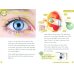 Oxford Read and Discover. Level 3. Your Five Senses