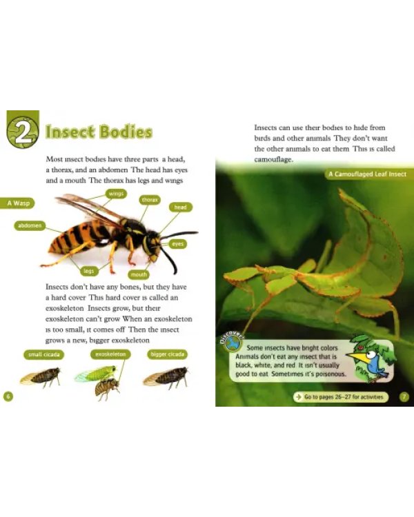 Дополнительное изображение книги «Oxford Read and Discover. Level 3. Amazing Minibeasts»
