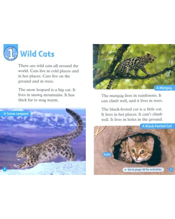Oxford Read and Discover. Level 1. Wild Cats Audio Pack