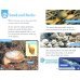 Oxford Read and Discover. Level 1. At the Beach Audio Pack