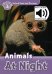 Oxford Read and Discover. Level 4. Animals At Night Audio Pack