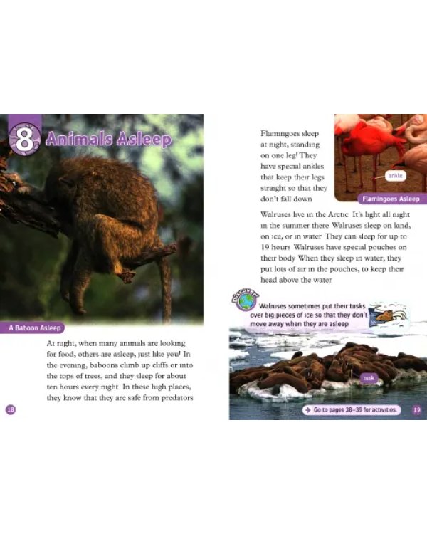 Oxford Read and Discover. Level 4. Animals At Night Audio Pack