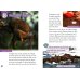Oxford Read and Discover. Level 4. Animals At Night Audio Pack