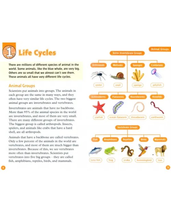 Oxford Read and Discover. Level 5. Animal Life Cycles
