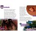 Oxford Read and Discover. Level 4. All About Desert Life Audio Pack
